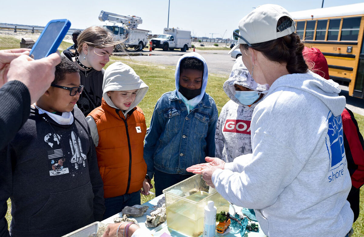 Students learning about oysters